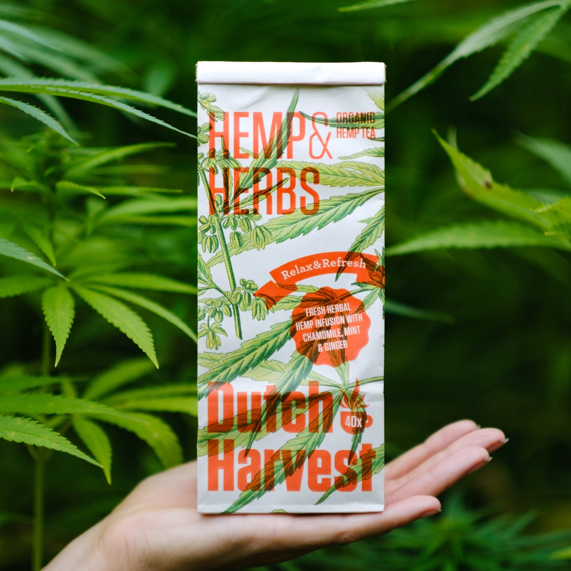 Hemp & Herbs BIO Tee